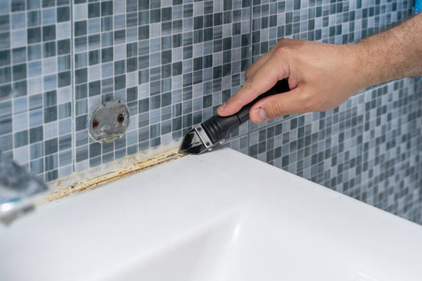 Best Mold Testing  in Rainier, WA