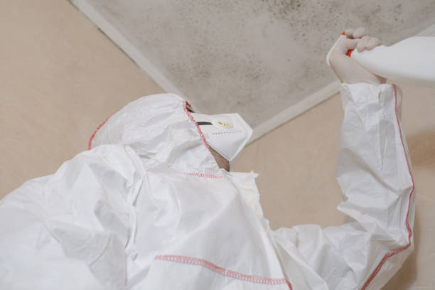 Best Toxic Mold Removal  in Rainier, WA